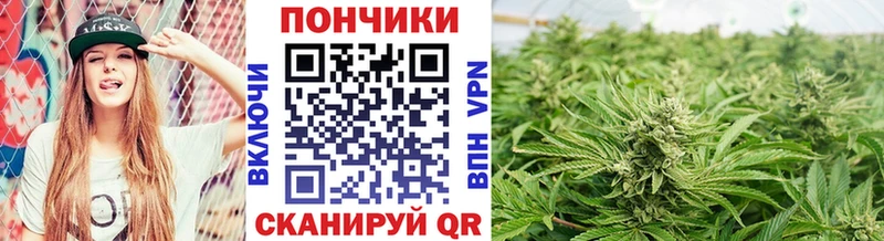 Все наркотики Амурск ГАШИШ  СК  Псилоцибиновые грибы  Мефедрон 