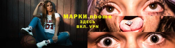 гидра Алексин