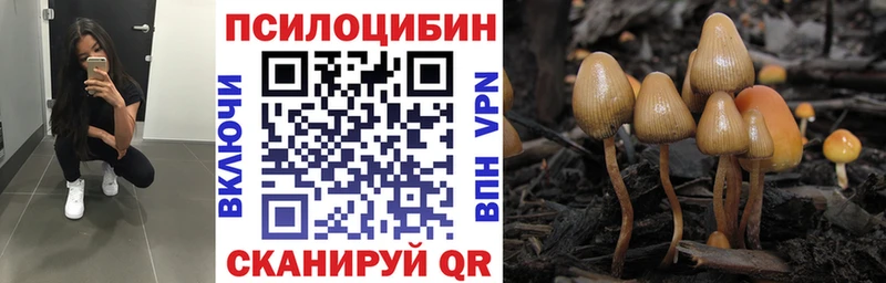 Псилоцибиновые грибы мицелий что такое Амурск